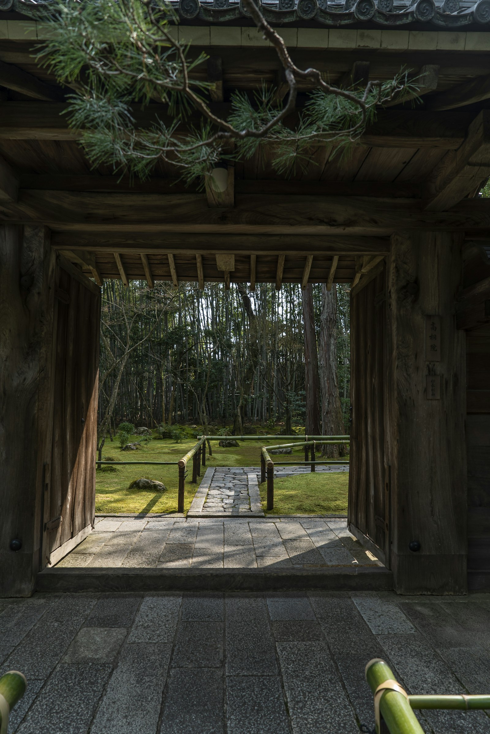 Bamboo grove path and moss garden of a Kyoto temple in soft morning light
