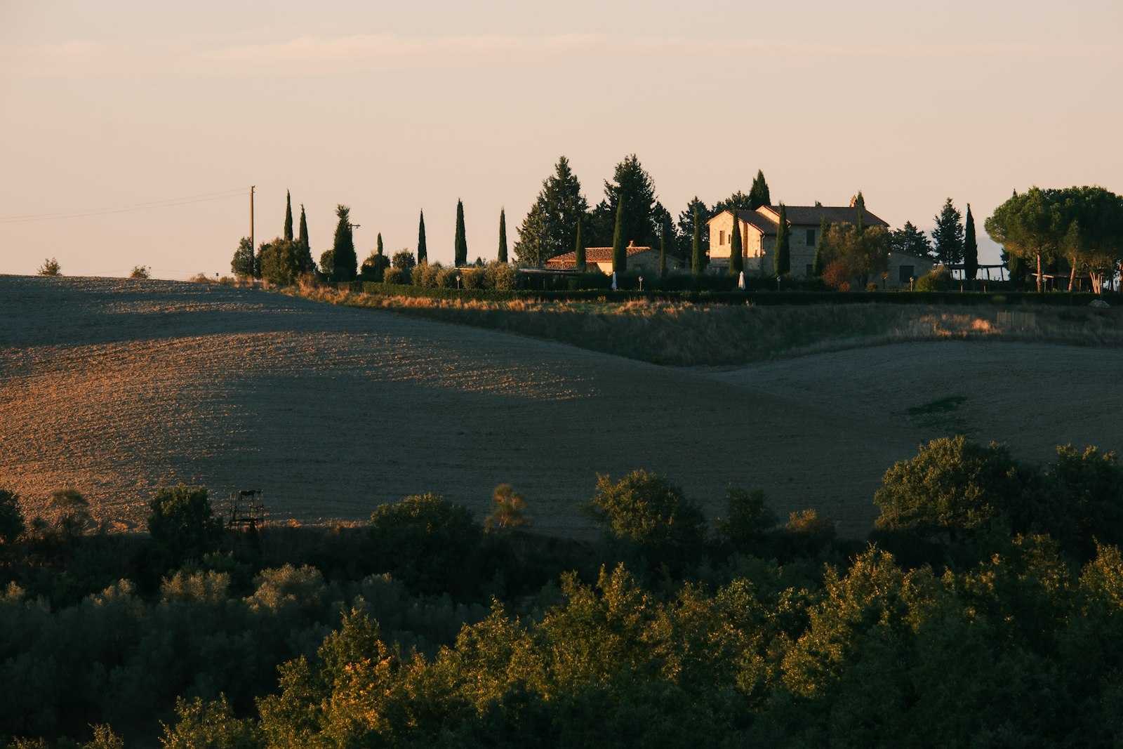 Rolling Tuscan hills with cypress trees and a stone farmhouse in warm afternoon light